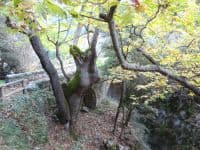 MENALON TRAIL - 9