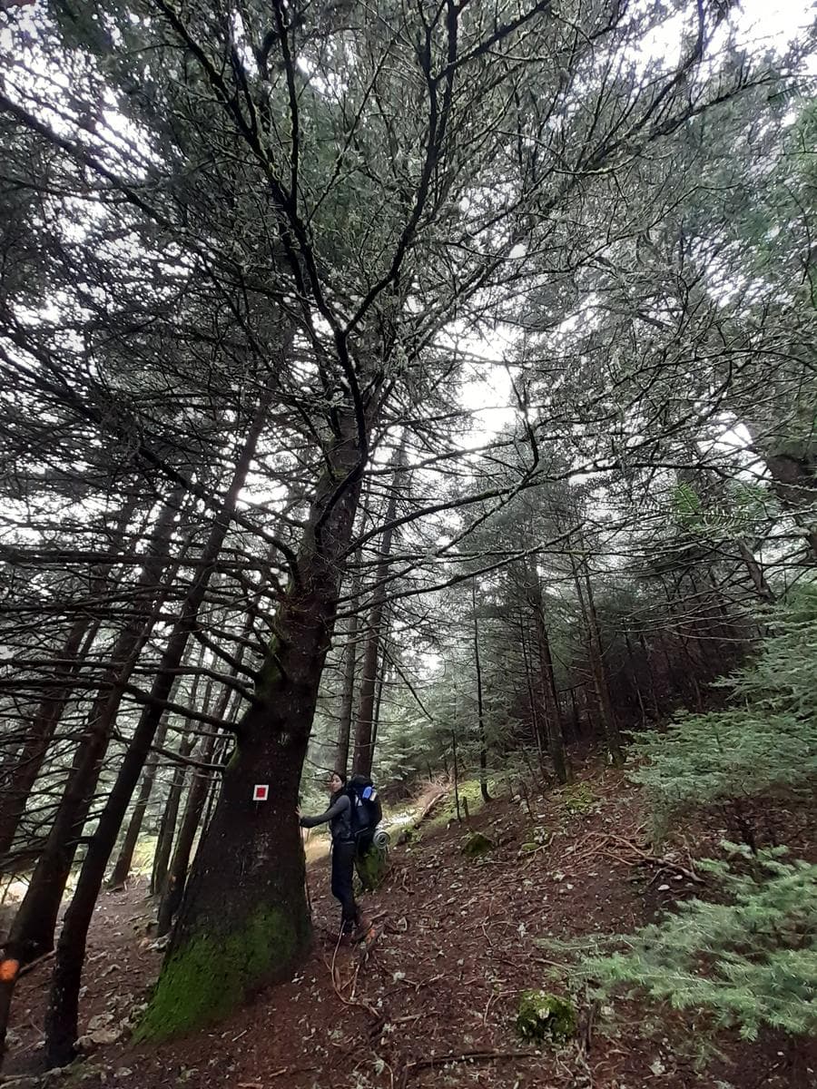 PAN TRAIL