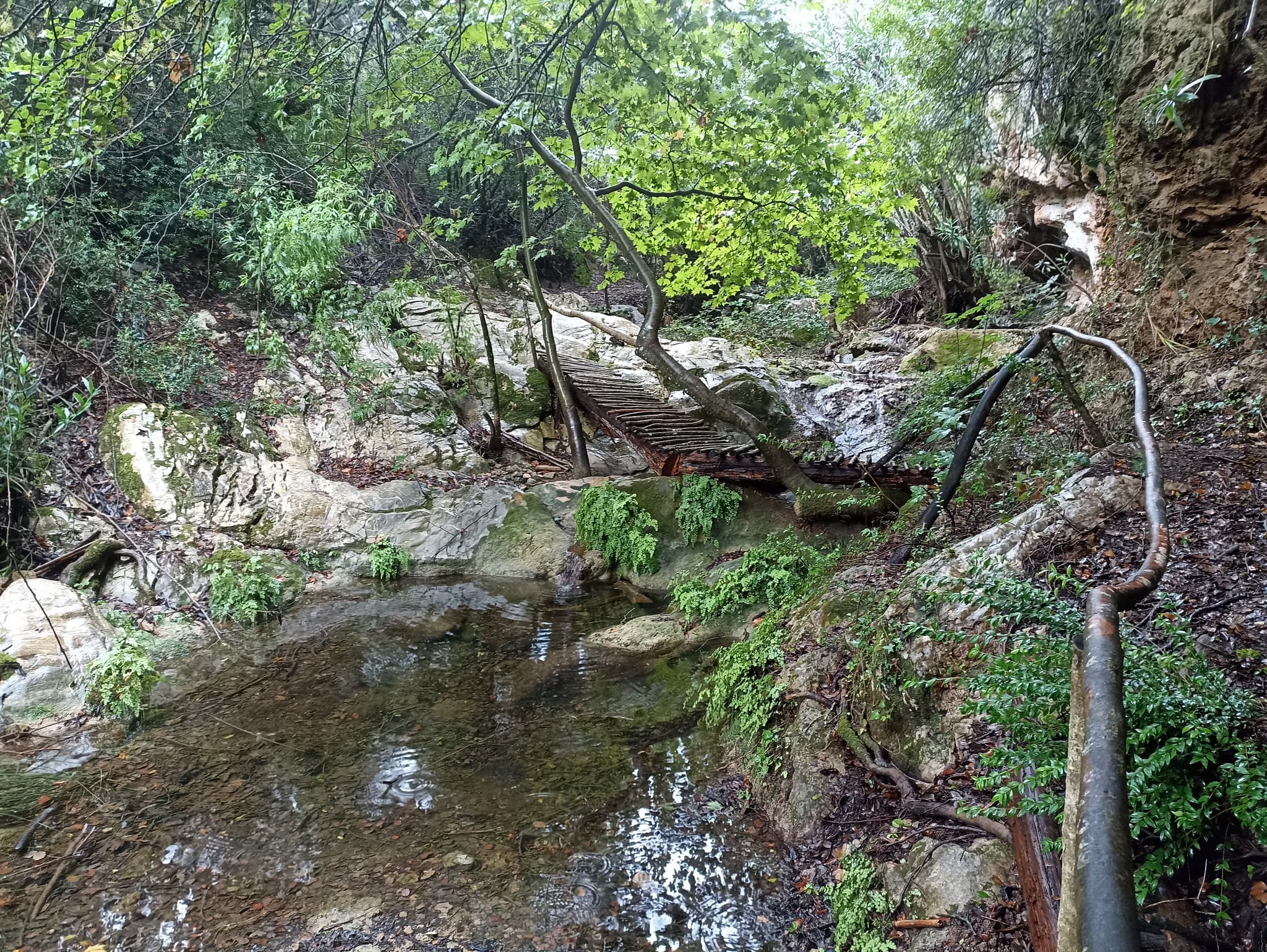 MESSINIA TRAIL